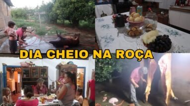 FICAMOS ATÉ A NOITE ARRUMANDO PORCO NA ROÇA