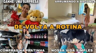 VOLTAMOS PRA CASA/ FIZ COMPRA NA CIDADE / CUIDANDO DO LAR / GANHEI UMA SURPRESA/