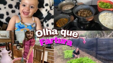 COMEÇOU A COLHEITA DA NOSSA HORTA ! UMA FARTURA *fazendo o almoço *