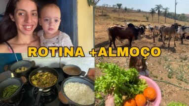 NOSSA MANHÃ NA ROÇA | FAZENDO O ALMOÇO DA FAMÍLIA