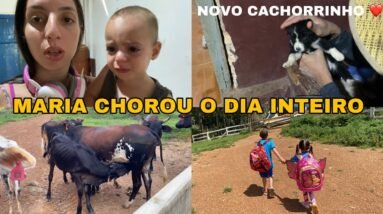 ROTINA DO SEGUNDO DIA DE AULA DAS CRIANÇAS | MARIA CHOROU MUITO COM SAUDADE DOS IRMÃOS 🥹