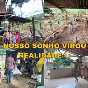 MUDAMOS TUDO: CURRAL EM BAIXO NA CASA DA ÁRVORE + NOVA COZINHA